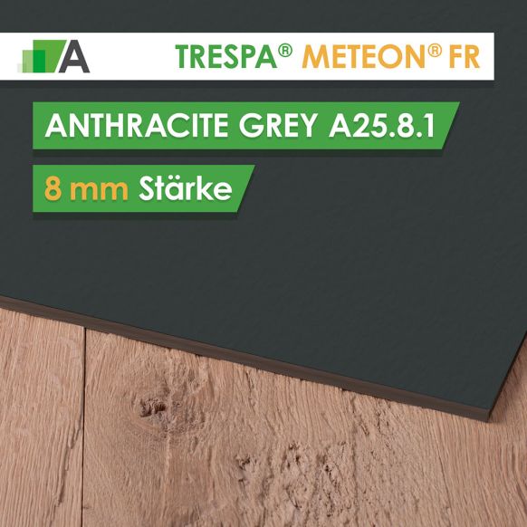 TRESPA® METEON® FR Anthracite Grey - A25.8.1 - Stärke 8mm - 3650 x 1860